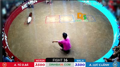 Trận 35 CPC2 Ngày 16/7/2026 - Gà xám như con trâu cú đá đéo si nên nổi