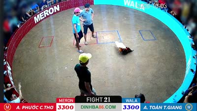 Trận 35 CPC2 Ngày 16/7/2026 - Gà xám như con trâu cú đá đéo si nên nổi