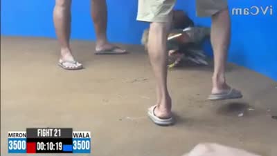 Trận 35 CPC2 Ngày 16/7/2026 - Gà xám như con trâu cú đá đéo si nên nổi