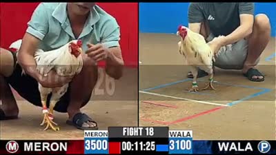 Trận 35 CPC2 Ngày 16/7/2026 - Gà xám như con trâu cú đá đéo si nên nổi